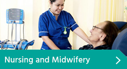 Nursing and midwifery icon
